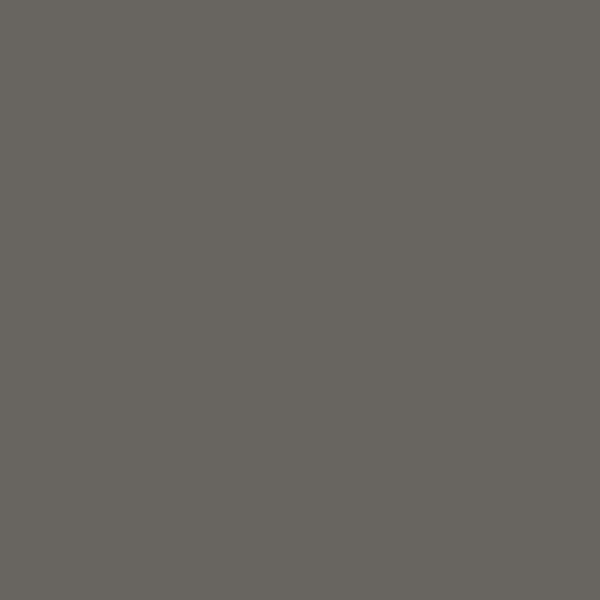 Color Swatch - Dark Gray 6C1