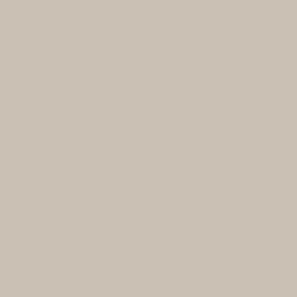 Color Swatch - Sand 2E1